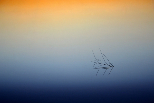 Photograph Boris B Voglar The Shortest Straw on One Eyeland